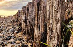 Design-Appartement-Schoenfeld - Foto 21