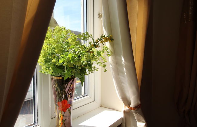 Bunny Meadows Farmhouse - Foto 26