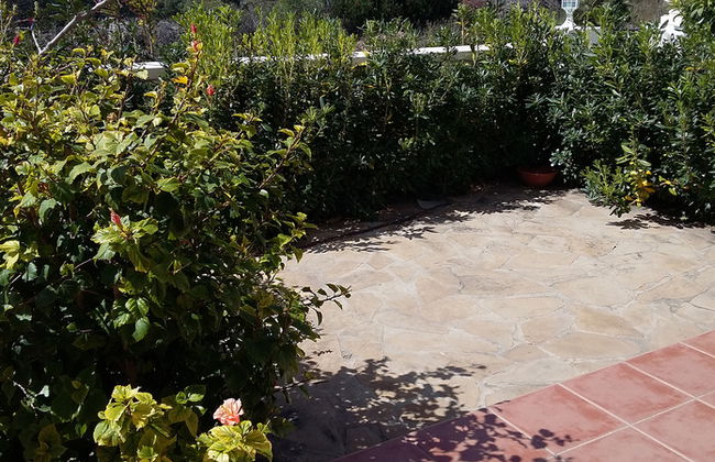 Apartamentos Palma Blanca 3000 - Foto 38