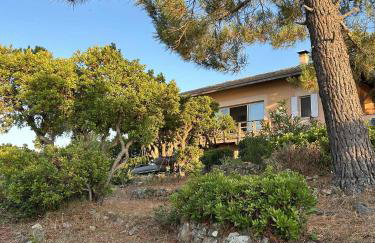 Corse Piana villa d’architecte vue exceptionnelle - Foto 4