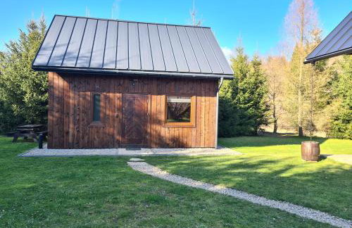 Domek w Bieszczadach Mchawa 144 - Foto 6