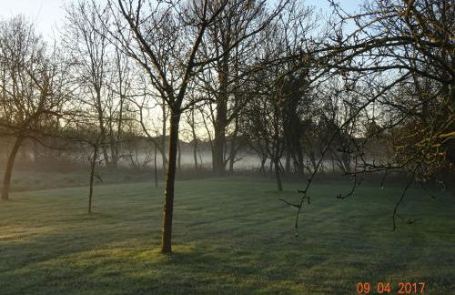 Haus-Falkenberg-1 - Photo 26