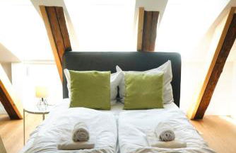 Altstadt Apartment V- Studio-3 Personen- Waschmaschine- Parkplatz - Photo 14