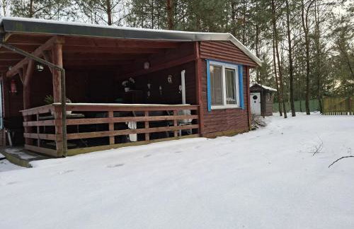 Leśny Zakątek Lipinki Bory Tucholskie - sauna - Foto 36