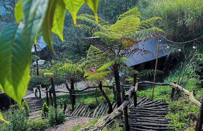 Dong Homestay - Foto 8