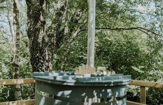 Ash Cabin with Hot Tub - Foto 11