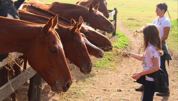 Horseback Riding at Estancia Villa María - Foto 4