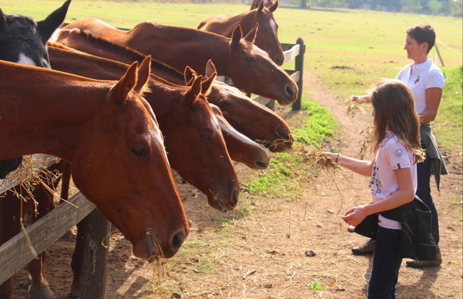 Horseback Riding at Estancia Villa María - Photo 4