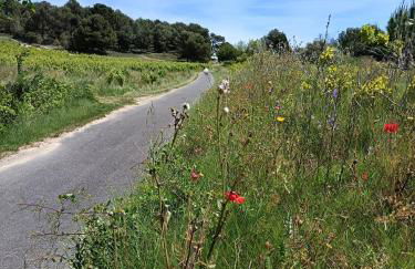 Maison Magnolia - Foto 42