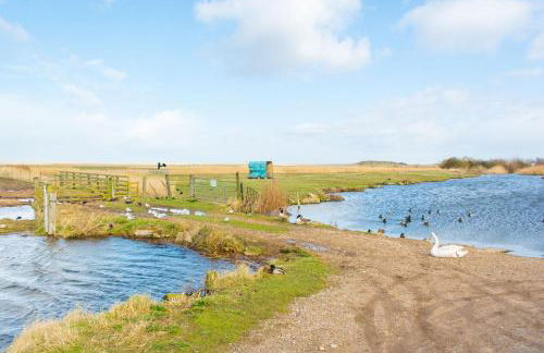 Host & Stay - Tystie Cottage - Photo 25