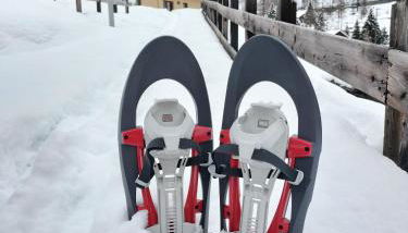 PUNTA VITTORIA SUB 14 - RESIDENCE ANDERBATT GRESSONEY - 3 locali - CIR N 0010 - Foto 3