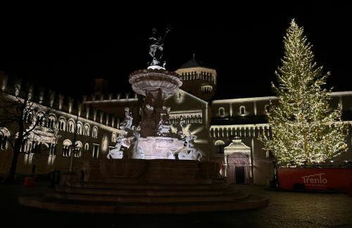 Residenza famiglia Moser - Foto 6