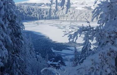 Cœur de volcan - Foto 33