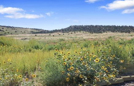 Cedar Mountain Bunkhouse cabin - Foto 64