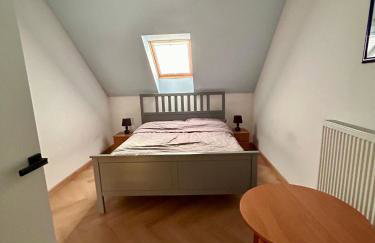 Baranie Wzgórze Ustroń Basen Sauna Plac Zabaw - Foto 55