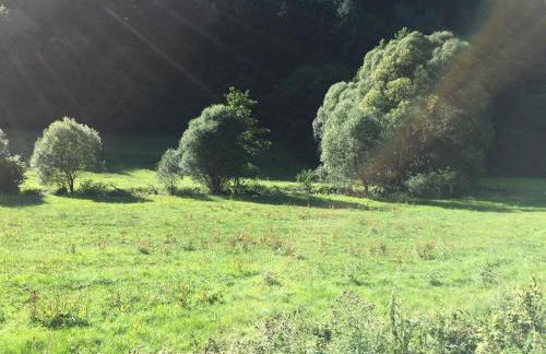 Ferienwohnung Schwitalla - Foto 17