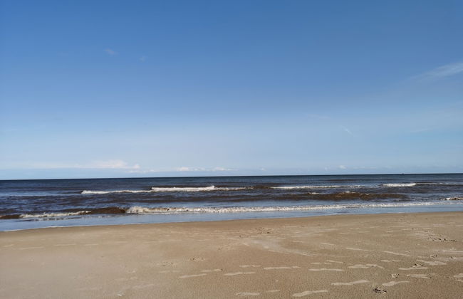 Sea Activities Golden Sands Beach Relax - Foto 35