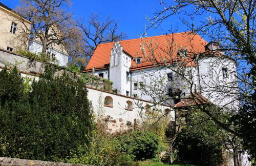 Altstadtblick Altenburg - Foto 52