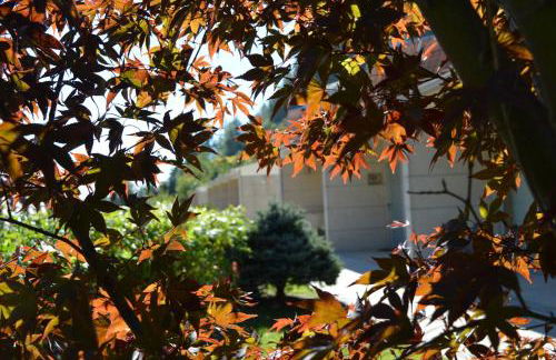 Casinhas do Gerês - Foto 23