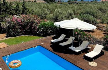 Georges Villa Galaxidi, family, pool and garden - Foto 41