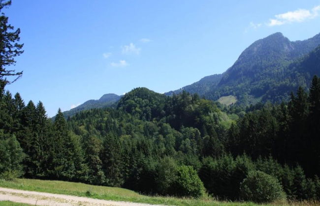 Cozy Holiday Home in Feldwies near Ski Area - Photo 25