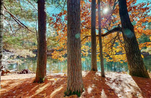 Manitowish Mike’s - Photo 44