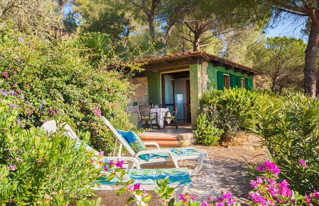 Piccola Oasi 8 - Foto 2