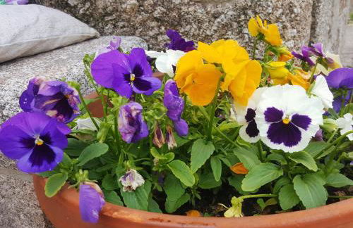 Casa da Ventozella - Photo 63