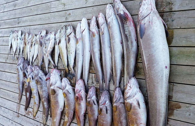 Holiday Home in Urangsvåg - Foto 34