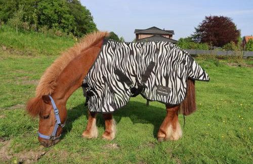 Ferienhof von Hammel - Foto 24