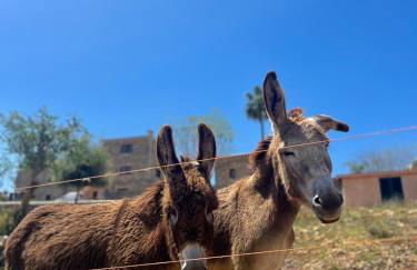 Agroturismo Ses Illes - Foto 52