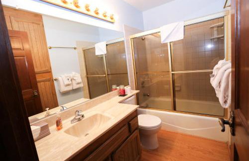 Updated Mammoth condo on Red line - Photo 13