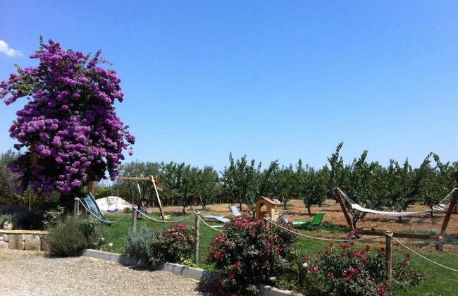 Agriturismo Sant'Andrea - Foto 51