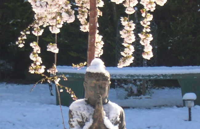 AAA Granary Accommodation - Foto 36