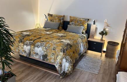 Budahome im Schwarzwald - Foto 1