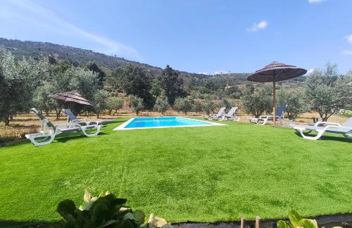 Quinta de Gonçalo - Foto 47