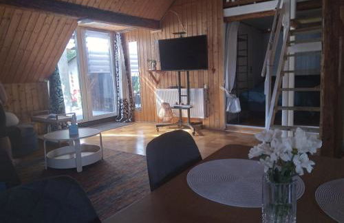 100 Stufen über dem Rhein - Photo 13