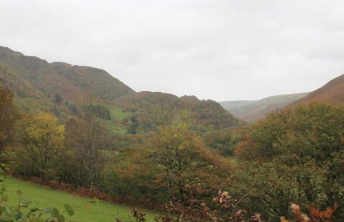 Rhandirmwyn - Cottage - Sleeps 4 - Pet Friendly - Foto 67