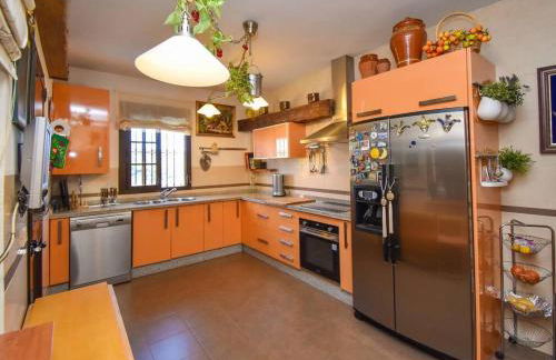 Vega’s Love - Foto 9