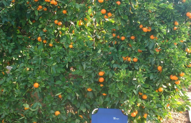 Green Paradise With Magnificent View - Foto 31