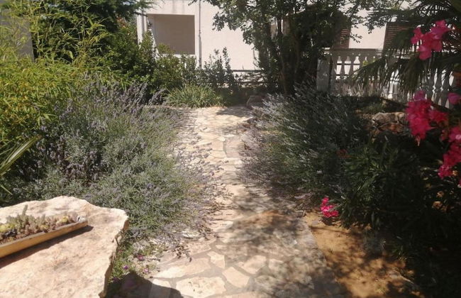 Sunny Pool Apartments - One Bedroom Apartment - Foto 22