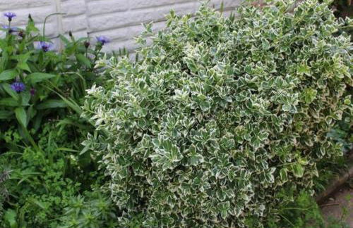 Newly Refurbished 3 Bed 2.5 Bath House in Staines - Foto 28