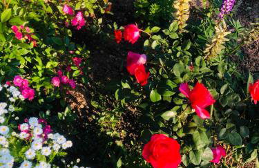 Apartments Smirnov - Foto 40