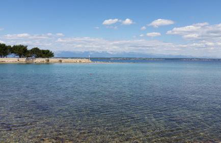 Apartment Sajković - Foto 15