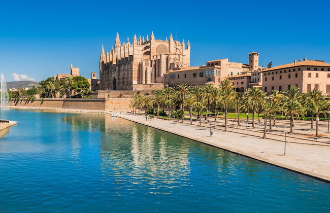 Gomila Palma Apartments - New Opening - Photo 55