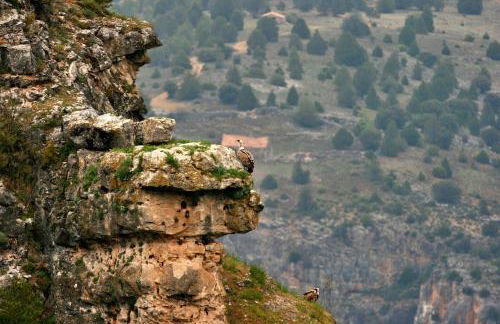 CASAGUAPA Alto Tajo - Foto 51