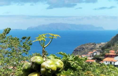 Sea Mountain House - Foto 33