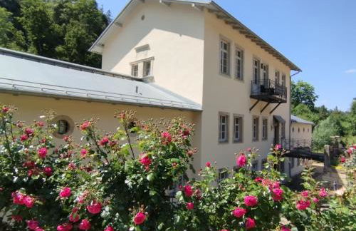 Sophienquelle Schweizermühle - Foto 24