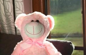 Domek A 151 Malinowy- Kaszubska Ostoja - Foto 17