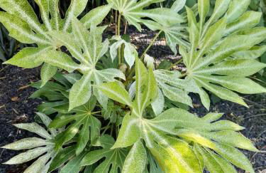 Domaine de l'Ermitage - Foto 47